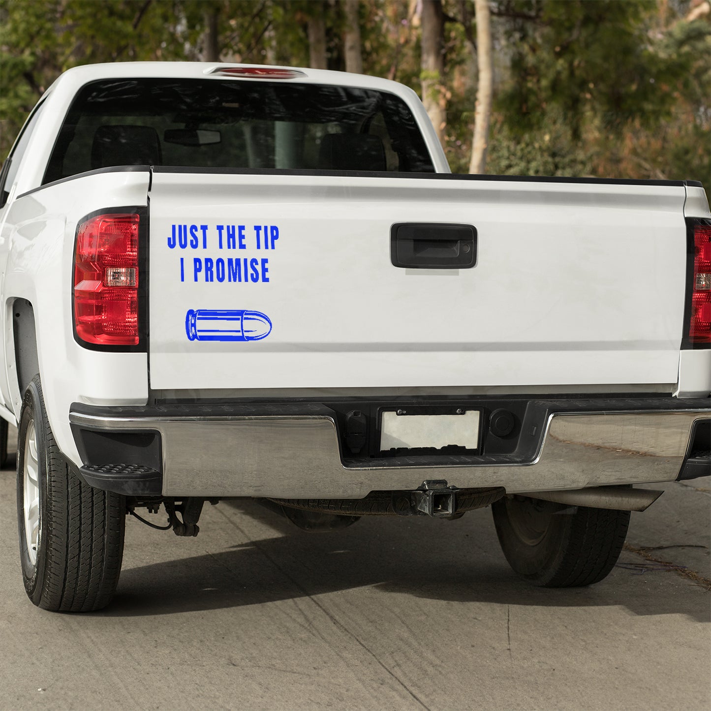 Just the tip, I promise vinyl decal bumper humper decal stickers Decals for cars Decals for Trucks decals for tumblers liberty minivan sticker SUV decals tailgater truck decals window decal car Window decals window decor