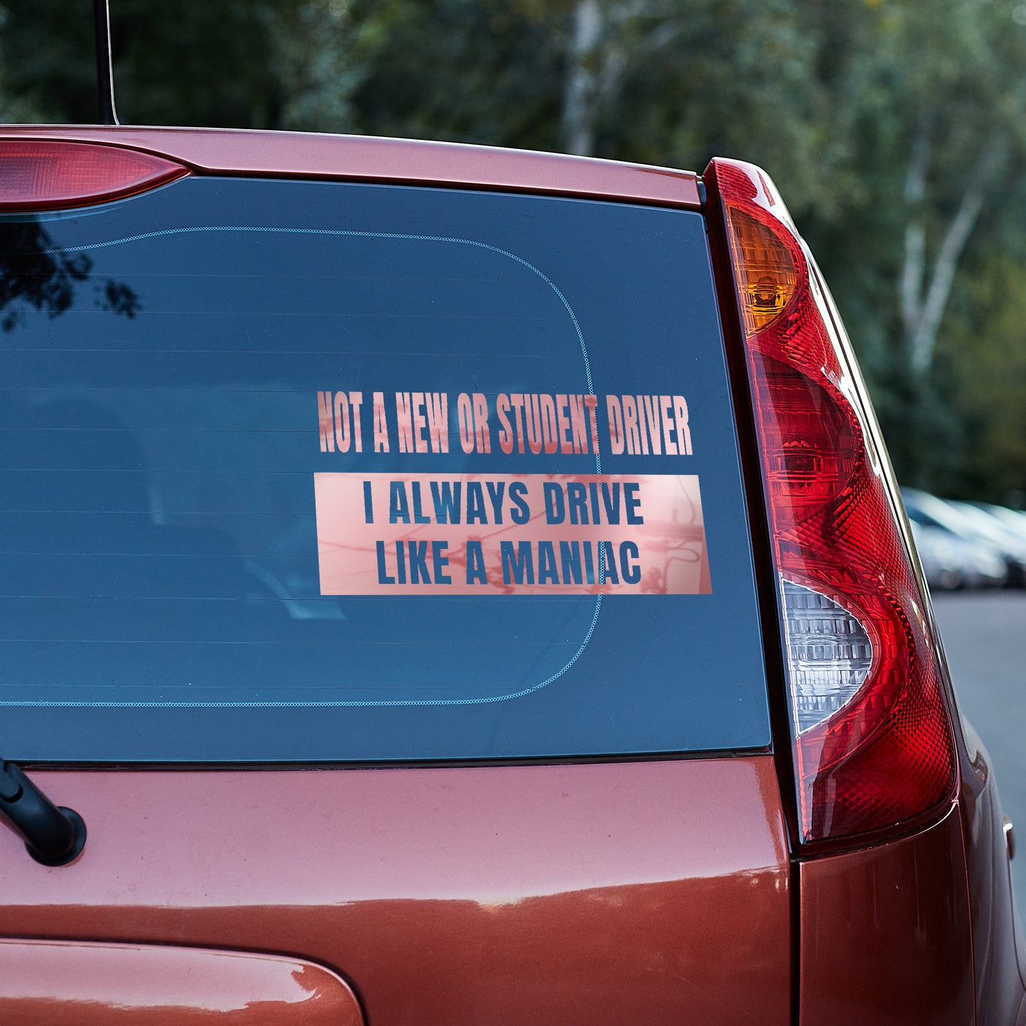 Not a new or student driver, I always drive like a maniac Vinyl decal decal stickers Decals for cars Decals for Trucks minivan sticker new driver SUV decals truck decals window decal car Window decals window decor